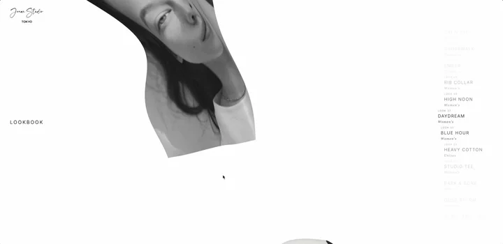 A portrait sheet blown up and away like paper, black & white mid-flight