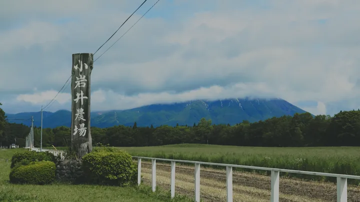 The wooden 小岩井農場 signpost before Mount Iwate