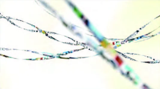 Ribbons of tiny photographs weave through soft white light